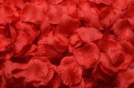 Rose petals 400 pcs - red - Confetti