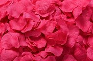 Confetti Rose petals 400 pcs - pink barbie - Konfety