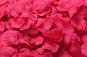 Konfety Okvětní lístky růže 800 ks - růžové barbie - Konfety