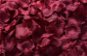 Confetti Rose petals 800 pcs - dark red burgundy - Konfety