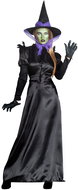 Boland Čarodějnický Raven XL - Costume