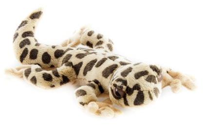 Lamps Gecko - Soft Toy - Main image