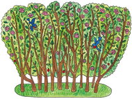 Marionetino Rose bush - backdrop - Figure Accessories