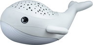 MegaLight with Willy Whale projection - Night Light