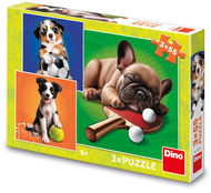 Dino Dog Athletes 3 × 55 Stück - Puzzle