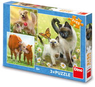 Dino Familie 3 × 55 Stück - Puzzle