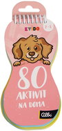 Kvído - 80 aktivit na doma - Kniha