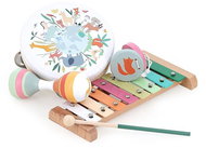 Vilac Animals of the World Sarah Betz - Instrument Set for Kids