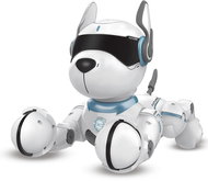 IR Robopes with voice commands - Robot