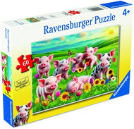 Ravensburger 120042563 Adorable piglets - Jigsaw Puzzle