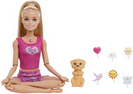 Barbie Meditation Doll - Doll