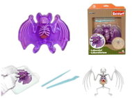Simba Discovers Bat Dissection - Experiment Kit
