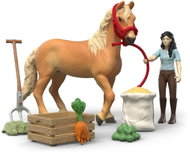 Schleich Emilyina sada k péči pro koně 42797 - Figure and Accessory Set