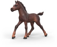 Schleich Hříbě Ravi 81479 - Figure