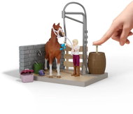 Schleich Sofiin mycí box pro koně 42792 - Figure and Accessory Set