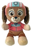 TY Beanie Babies s licencí Soft Tlapková patrola, 15 cm, Liber - Soft Toy