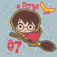 Ideyka HarryPotter Létání na koštěti 25 × 25 cm - Malování podle čísel