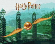 Ideyka Harry Potter Zlatonka 40 × 50 cm Metalic - Malování podle čísel
