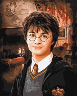 Ideyka Harry Potter 40 × 50 cm - Malování podle čísel