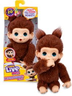 Little Live Pets My Baby Monkey: Brown - Interactive Animal Toy