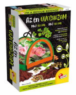 Az én üvegházam - Kvízjáték