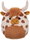 Scottish Cow Alonzo