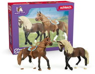 Schleich Horse Club Paso Peruano Starter Set 42738 - Figure and Accessory Set