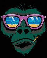 Malen nach Zahlen - Affe mit Sonnenbrille - Malen nach Zahlen