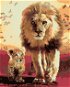 Malen nach Zahlen - Laufender Löwe und Jungtier - Malen nach Zahlen
