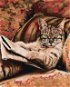 Maľovanie podľa čísel – Mačka s okuliarmi - Maľovanie podľa čísel