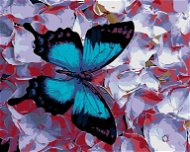Maľovanie podľa čísel – Modrý motýľ a kvietky - Maľovanie podľa čísel