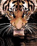 Malen nach Zahlen - Tiger am Wasser - Malen nach Zahlen