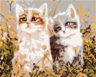 Painting by Numbers - Kittens and Meadow Flowers - Painting by Numbers