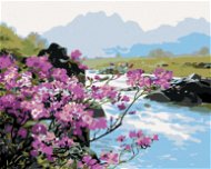 Maľovanie podľa čísel – Rozkvitnuté kvety pri rieke - Maľovanie podľa čísel