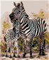 Malen nach Zahlen - Zebra mit Jungtier - Malen nach Zahlen