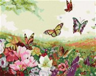 Malen nach Zahlen - Wiese voller Schmetterlinge - Malen nach Zahlen