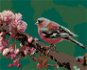 Malen nach Zahlen - Blühende Sakura und rosafarbener Vogel - Malen nach Zahlen