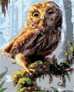 Painting by Numbers - Owl - Painting by Numbers