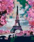 Malen nach Zahlen - Eiffelturm und rosa Bäume - Malen nach Zahlen