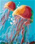 Painting by Numbers - Jellyfish - Painting by Numbers