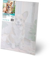 Massido Painting by numbers 40 × 50 cm Corgi dog - Painting by Numbers