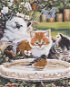 Painting by Numbers - Kittens and Birds - Painting by Numbers