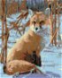 Painting by Numbers - Looking Fox - Painting by Numbers