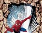 Malen nach Zahlen - Spiderman 3D - Malen nach Zahlen