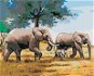 Malen nach Zahlen - Elefantenfamilie - Malen nach Zahlen