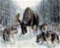 Painting by Numbers - Moose with Wolves - Painting by Numbers