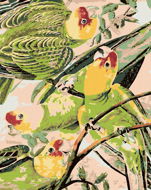 Malen nach Zahlen - Papageien auf einem Zweig - Malen nach Zahlen