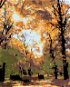 Painting by Numbers - Autumn Trees - Painting by Numbers