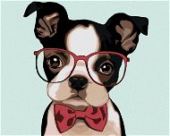Malen nach Zahlen - Bulldogge mit Brille - Malen nach Zahlen