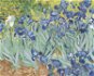 Malen nach Zahlen - Schwertlilien (van Gogh) - Malen nach Zahlen